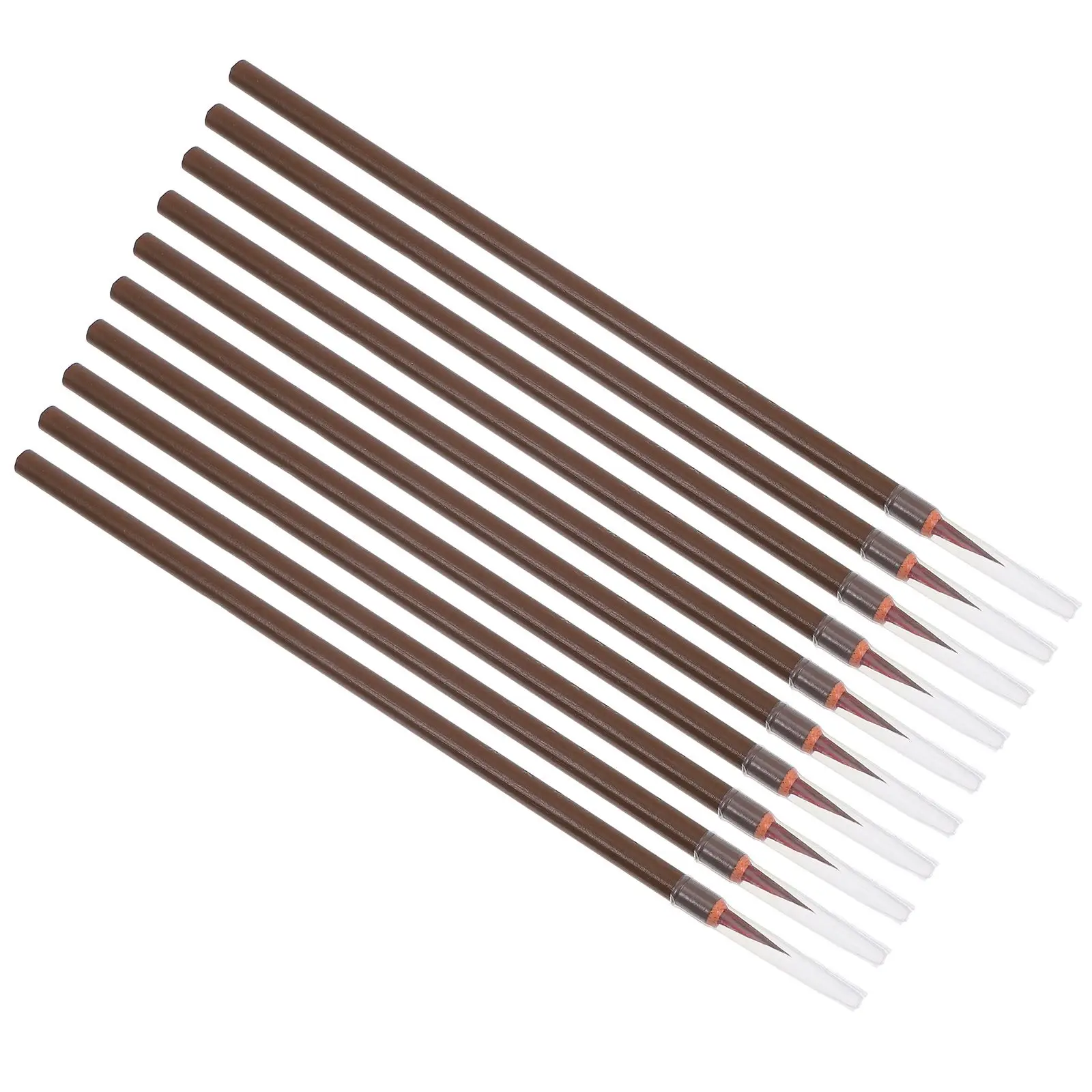 10 Pcs Flyhead Calligraphy Brushes 19cm Long 1 8cm Tip 0 3cm Diameter Sturdy Beginner Professional Writing Painting
10 Pcs Flyhead Calligraphy Brushes 19cm Long 1 8cm Tip 0 3cm Diameter Sturdy Beginner Professional Writing Painting