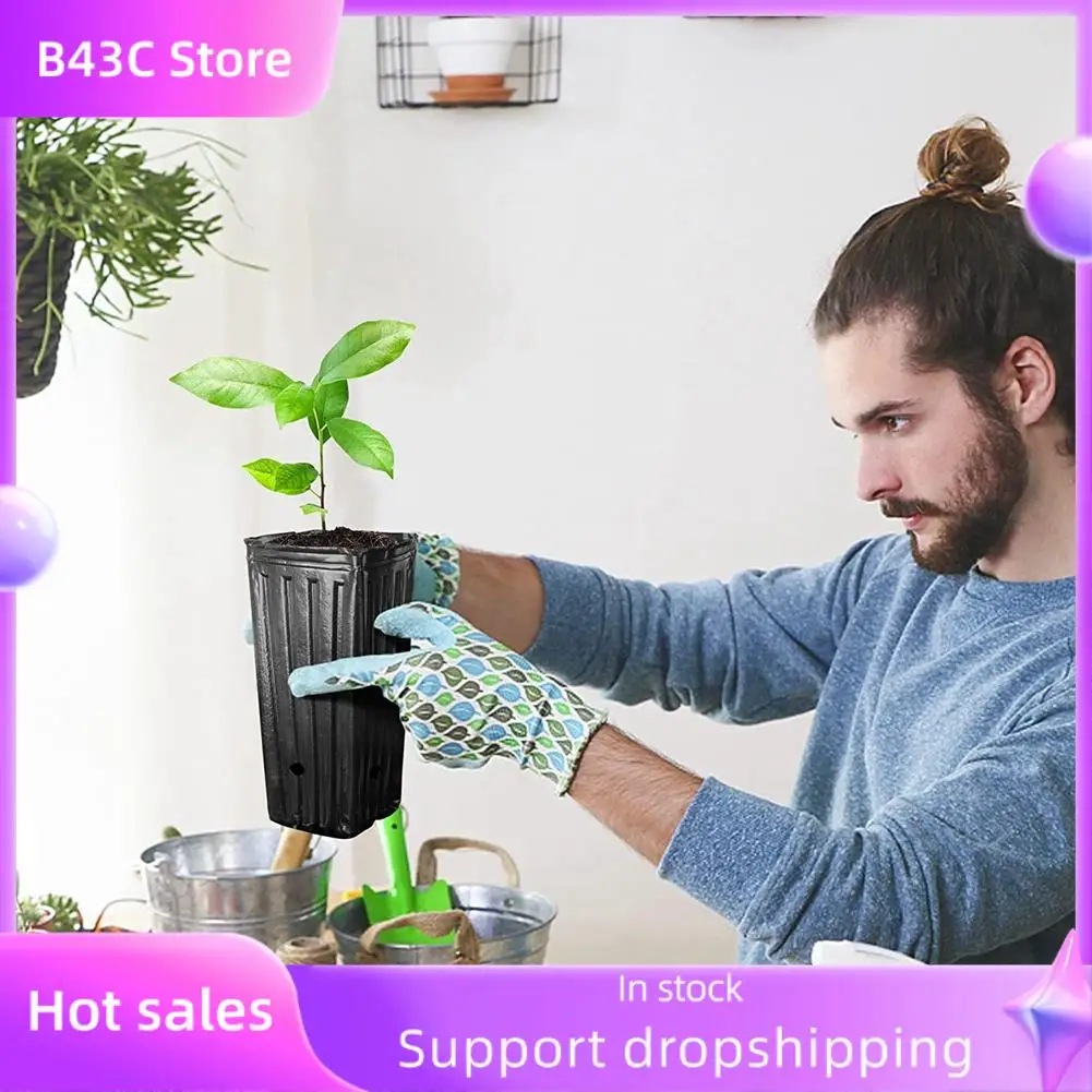 B14C 20 шт. высокие горшки для деревьев, глубокие детские трипы, 7,8-дюймовые высокие горшки-контейнеры для рассады цветов и растений для внутреннего и наружного сада
B14C 20 шт. высокие горшки для деревьев, глубокие детские трипы, 7,8-дюймовые высокие горшки-контейнеры для рассады цветов и растений для внутреннего и наружного сада