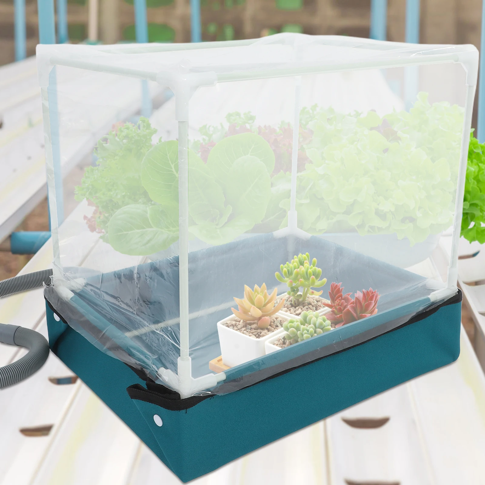 1pc Mini Greenhouse Succulent Planting Box PP Compact Tabletop Garden Container Weather Protection Water Base Foldable 
1pc Mini Greenhouse Succulent Planting Box PP Compact Tabletop Garden Container Weather Protection Water Base Foldable