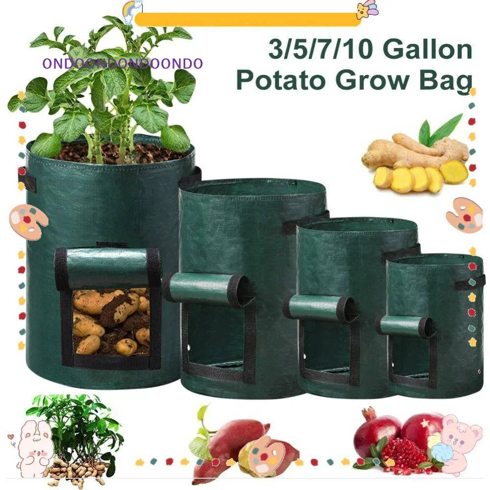 Garden Planting Bag, With Handles 3/5/7/10 Gallon , High Quality Garden Tools PE Plant Bag Vegetable Tomato Potato Flower
Garden Planting Bag, With Handles 3/5/7/10 Gallon , High Quality Garden Tools PE Plant Bag Vegetable Tomato Potato Flower