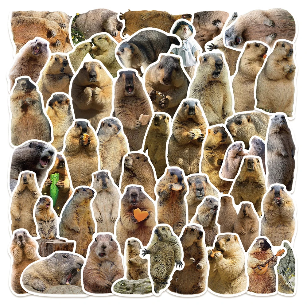 10/30/50pcs Funny Animal Groundhog Stickers Cute Graffiti Decals Kids Toys DIY Suitcase Phone Bike Skateboard Waterproof Sticker
10/30/50pcs Funny Animal Groundhog Stickers Cute Graffiti Decals Kids Toys DIY Suitcase Phone Bike Skateboard Waterproof Sticker