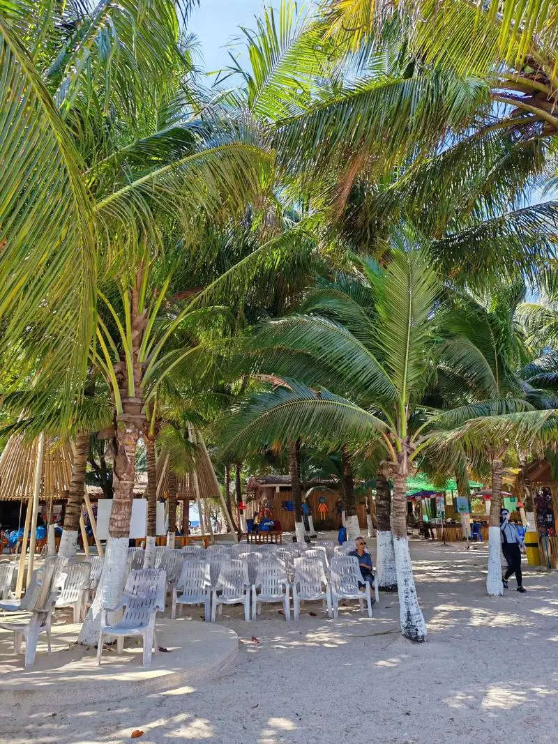 MPPT 12V 24V 48V 4000W Wind Solar Hybrid Charge Controller Regulator For Solar Panel Wind Turbine For Lifepo4 Lithium Lead Acid
MPPT 12V 24V 48V 4000W Wind Solar Hybrid Charge Controller Regulator For Solar Panel Wind Turbine For Lifepo4 Lithium Lead Acid