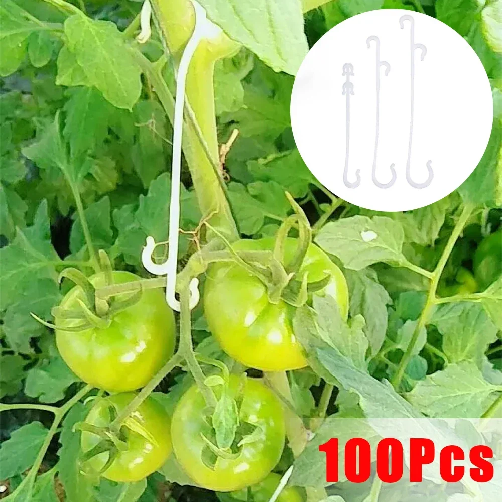 100/1Pcs Plant Tomato Support J Shaped Hooks Reusable Vegetable Plants Trellis Vines Fixed Buckle Hooks For Gardening Supplies
100/1Pcs Plant Tomato Support J Shaped Hooks Reusable Vegetable Plants Trellis Vines Fixed Buckle Hooks For Gardening Supplies