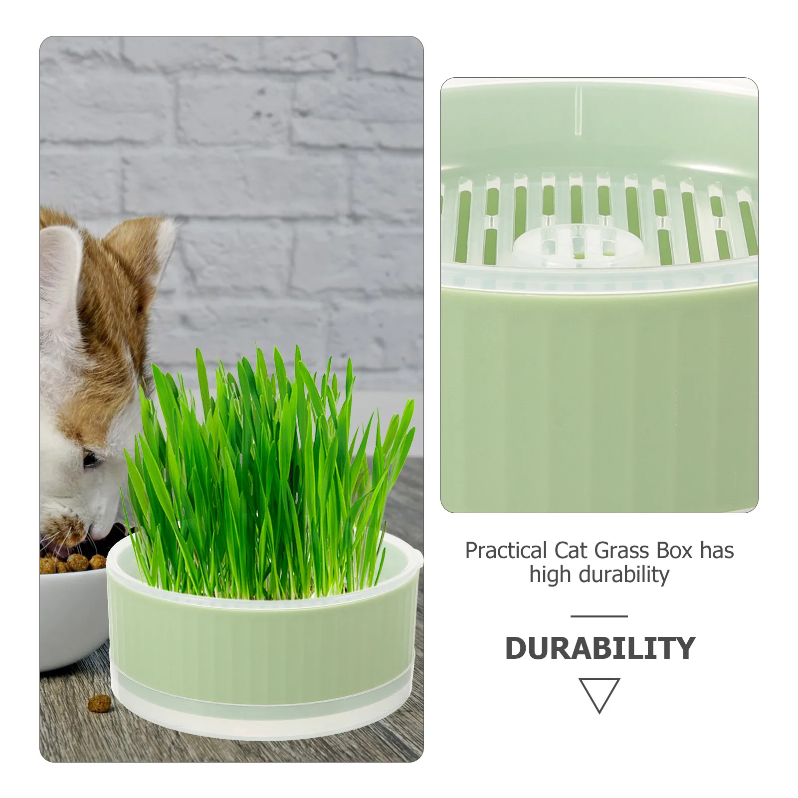 Cat Grass Hydroponic Soilless Planting Box Green Easy Clean Practical Catnip Practical Cat Grass Box Indoor Pet Toy
Cat Grass Hydroponic Soilless Planting Box Green Easy Clean Practical Catnip Practical Cat Grass Box Indoor Pet Toy