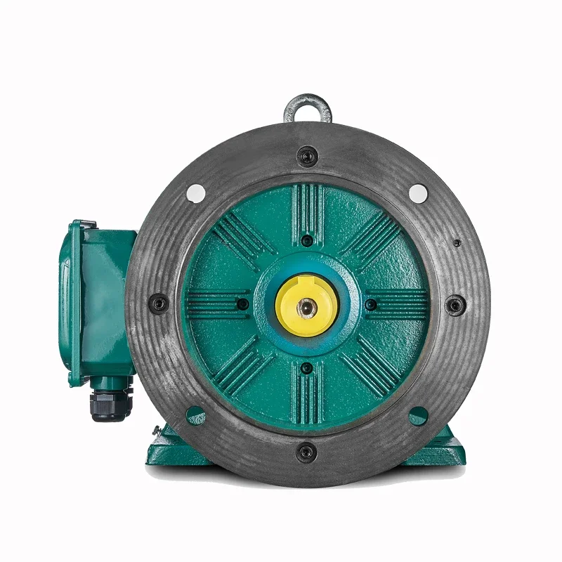 BROOK 30kW 4p High Efficiency Asynchronous AC Electric Three Phase Water Pump IE3 40 induction motor
BROOK 30kW 4p High Efficiency Asynchronous AC Electric Three Phase Water Pump IE3 40 induction motor