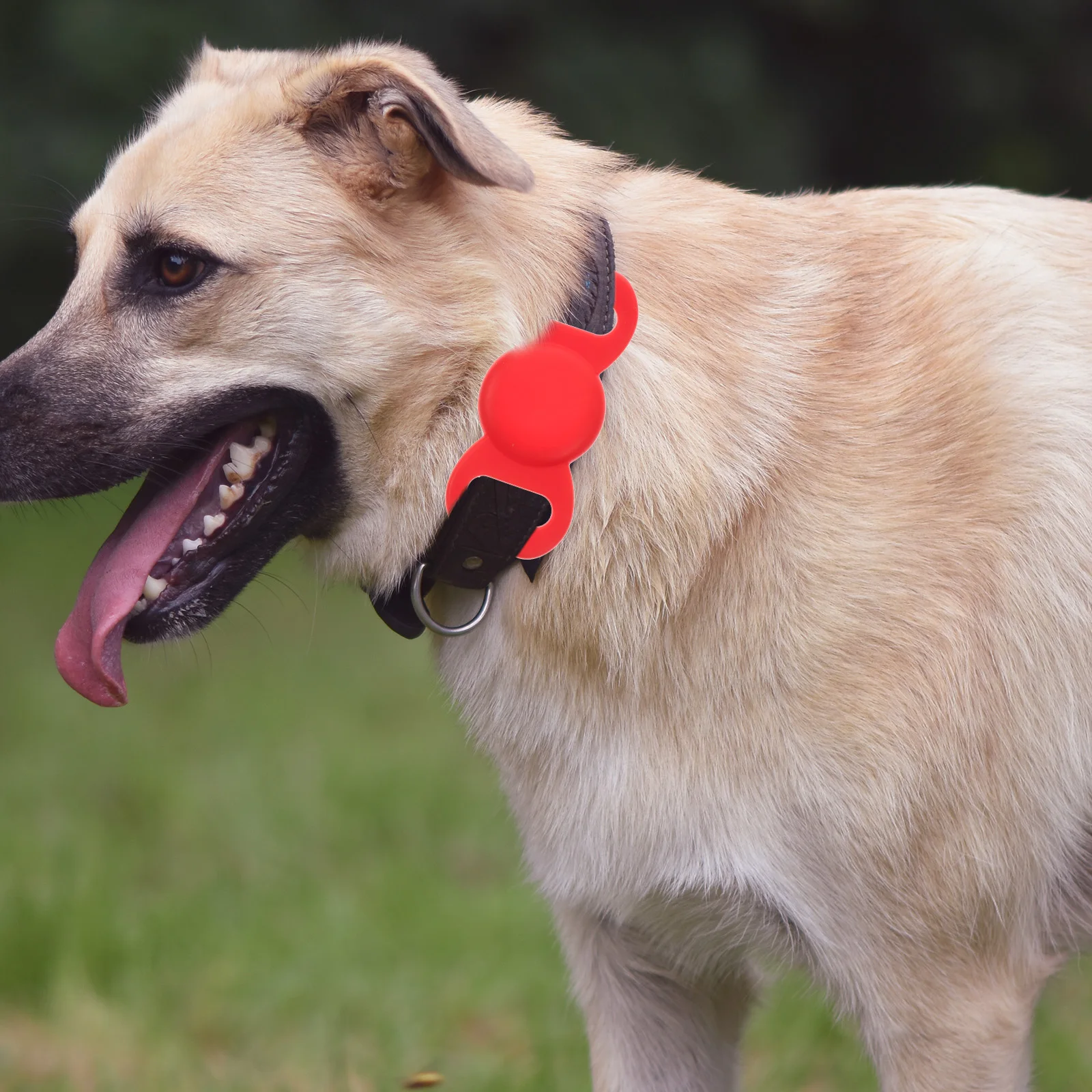 2pcs Silicone Pet Cover Lightweight Protective Case For Compatible Tracer Holder Small Accessory Smart
2pcs Silicone Pet Cover Lightweight Protective Case For Compatible Tracer Holder Small Accessory Smart