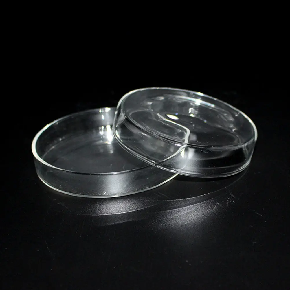 2Pcs Premium Clear Glass Petri Dishes for Cell Culture and Microbiology Experiments Teaching Aid School Science
2Pcs Premium Clear Glass Petri Dishes for Cell Culture and Microbiology Experiments Teaching Aid School Science