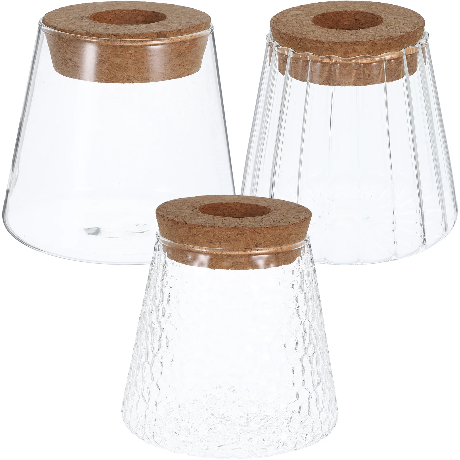 3 Pcs Vases Hydroponic Plant Bottle Glass for Plants House Accessories Indoor Gardening Transparent Terrarium Planter Office
3 Pcs Vases Hydroponic Plant Bottle Glass for Plants House Accessories Indoor Gardening Transparent Terrarium Planter Office