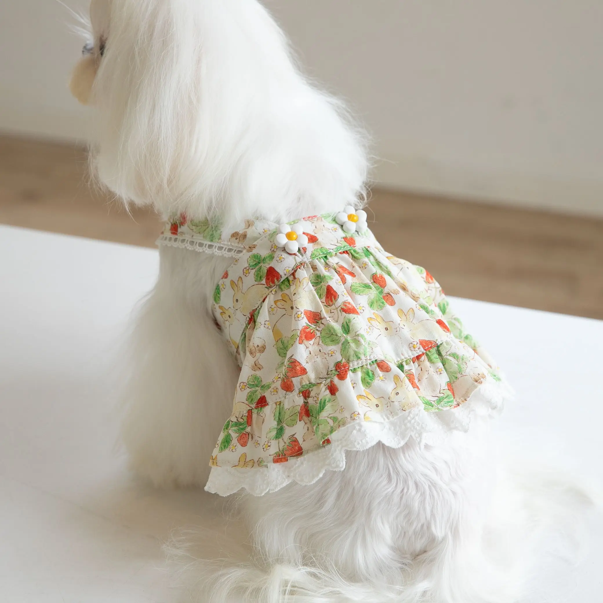 Cute Strawberry Printing Dress for Pet, Sweet Dog Clothes, Bunny Printing, Lace Skirt, Cat Clothing, Teddy, Spring and Summer
Cute Strawberry Printing Dress for Pet, Sweet Dog Clothes, Bunny Printing, Lace Skirt, Cat Clothing, Teddy, Spring and Summer