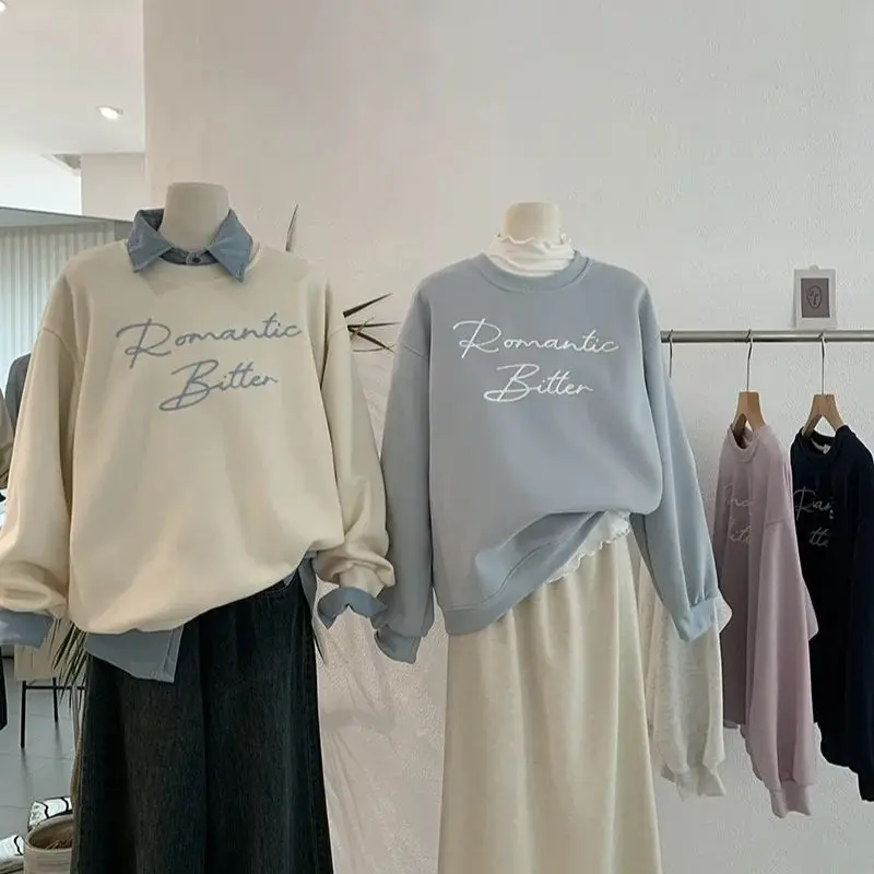 2024 new round neck letter embroidered long-sleeved sweatshirt loose pullover casual top
2024 new round neck letter embroidered long-sleeved sweatshirt loose pullover casual top