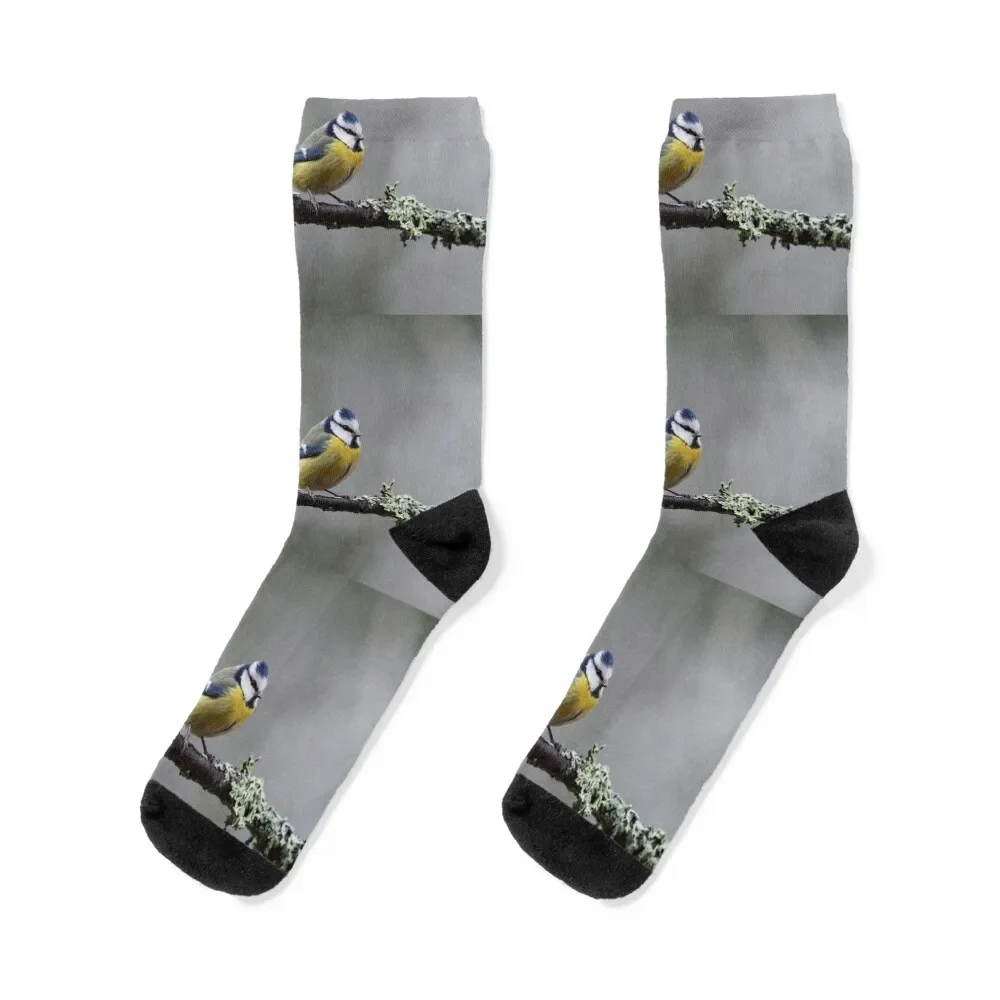 Eurasian blue tit in November II Socks football professional running cool Socks Ladies Men's
Eurasian blue tit in November II Socks football professional running cool Socks Ladies Men's