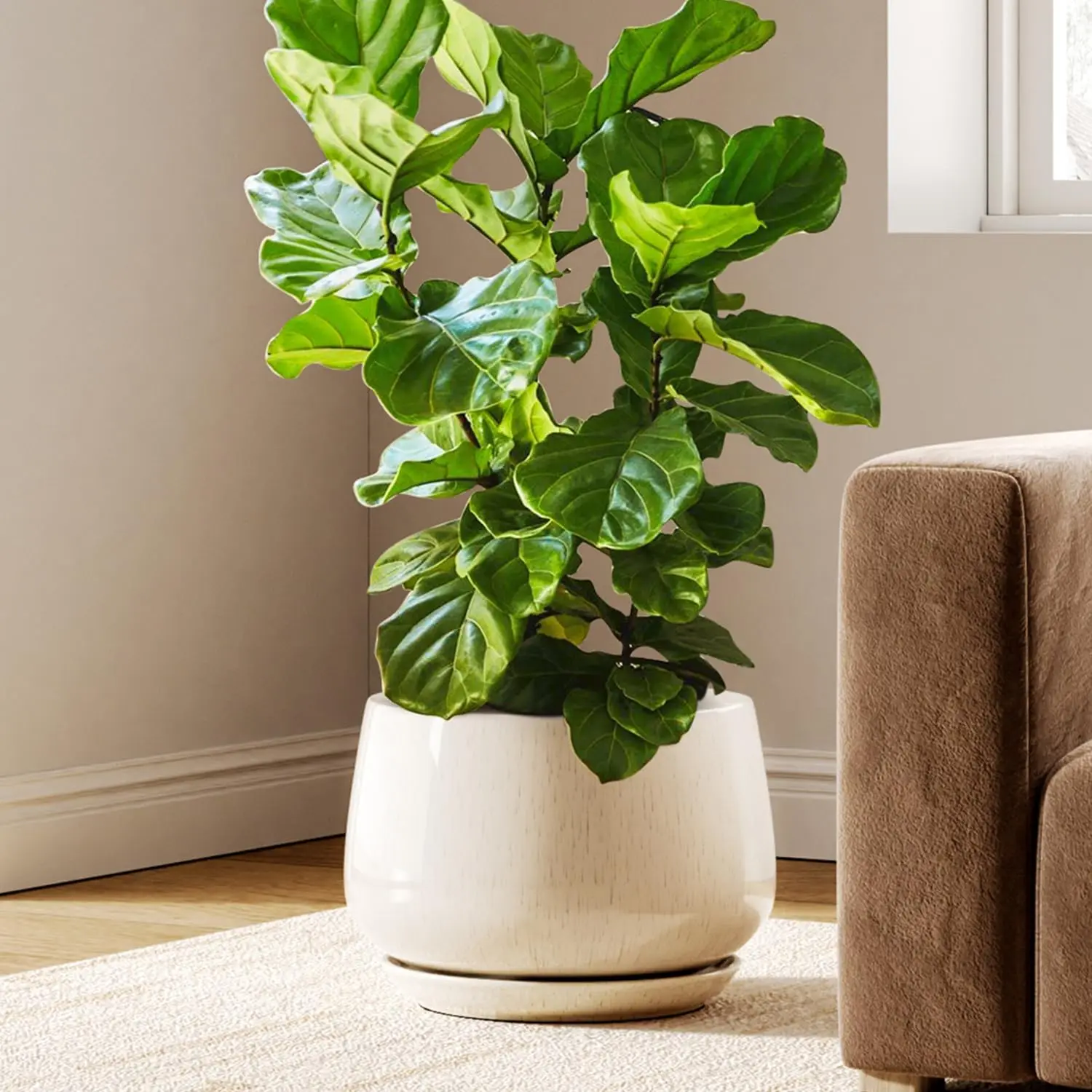 12 Inch Ceramic Planter with Drainage Hole & Saucer, Thick-Walled, Reactive Glaze Beige, for Indoor Plants, Living Room & Entryway
12 Inch Ceramic Planter with Drainage Hole & Saucer, Thick-Walled, Reactive Glaze Beige, for Indoor Plants, Living Room & Entryway