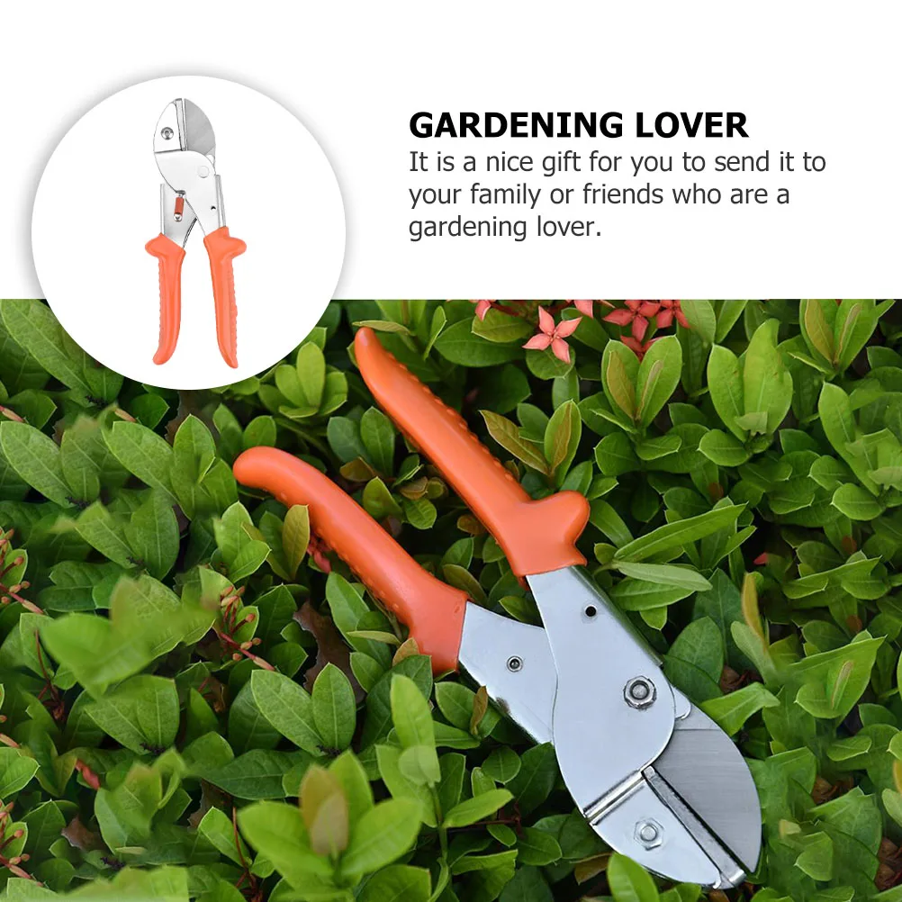 1Pcs Pruning Shears Orange Professional Gardening Tool Safety Buckle Durable Twigs Scissor Garden Accessory Labor Saving Handle
1Pcs Pruning Shears Orange Professional Gardening Tool Safety Buckle Durable Twigs Scissor Garden Accessory Labor Saving Handle
