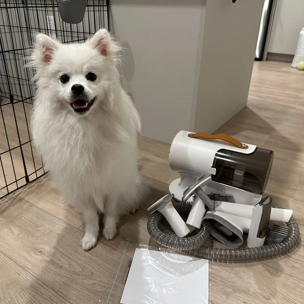л # 5 в 1 комплект для ухода за домашними животными, пылесос, малошумный триммер для домашних животных, 12000 Па, машинка для стрижки волос для собак и кошек
л # 5 в 1 комплект для ухода за домашними животными, пылесос, малошумный триммер для домашних животных, 12000 Па, машинка для стрижки волос для собак и кошек