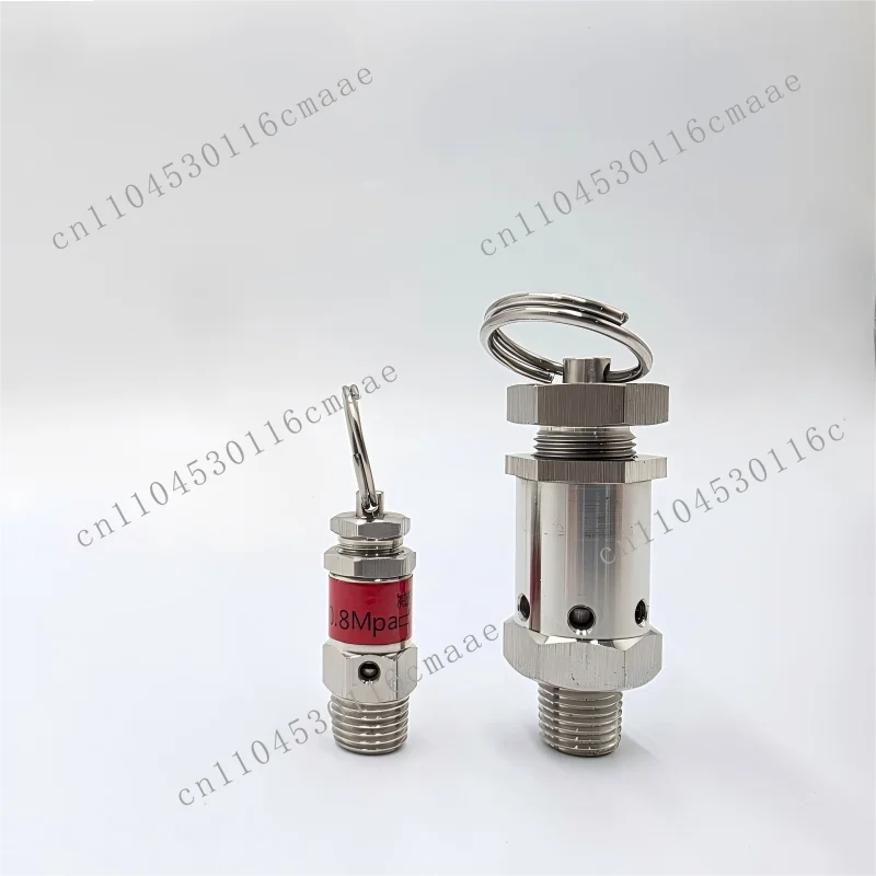 Stainless Steel Ss316L Adjustable Pressure Safety Relief Valve 1/4inch 1/2inch
Stainless Steel Ss316L Adjustable Pressure Safety Relief Valve 1/4inch 1/2inch