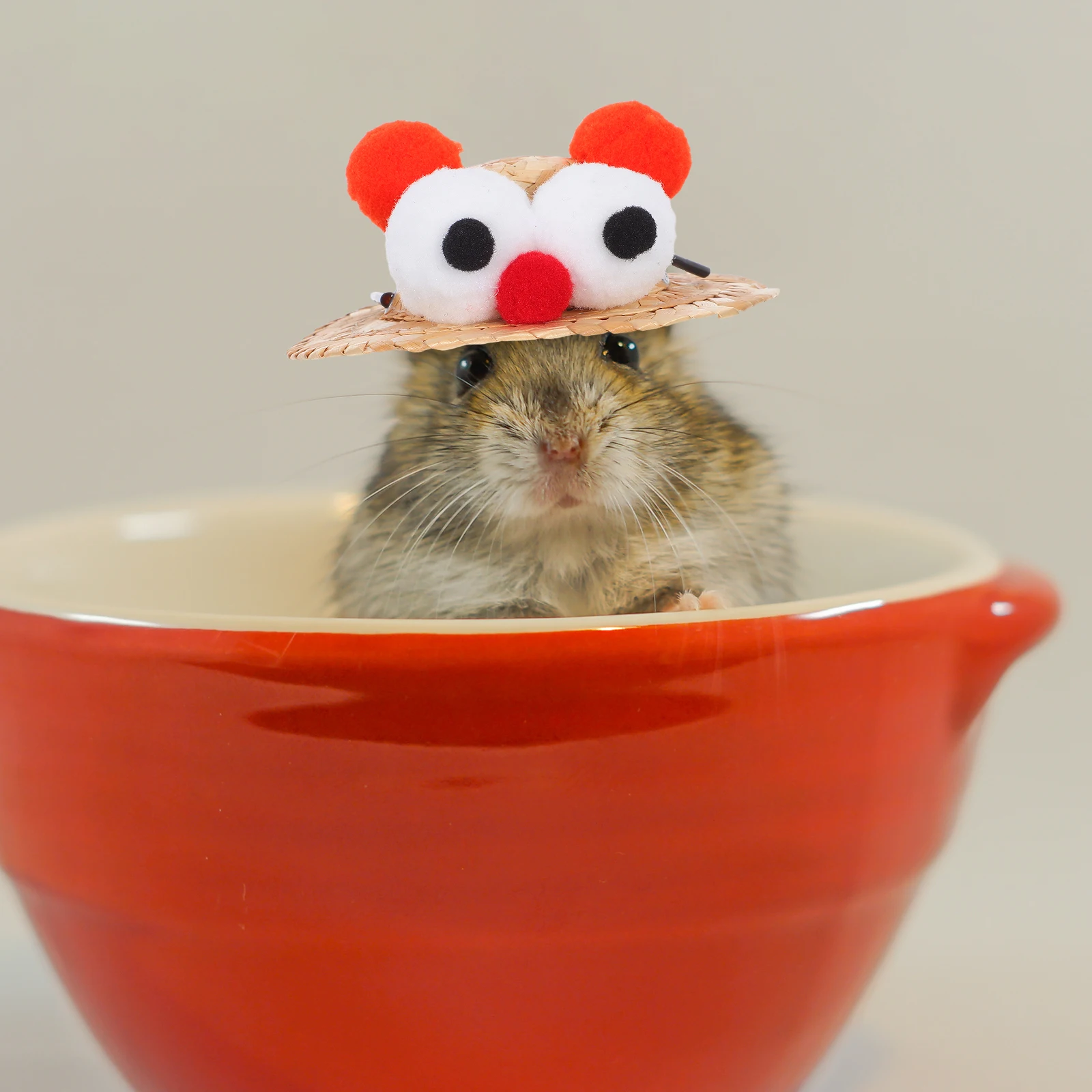 Hamster Straw Hat Bunny Costume Accessories Cute Bearded Dragon Decorate Holiday Pet
Hamster Straw Hat Bunny Costume Accessories Cute Bearded Dragon Decorate Holiday Pet
