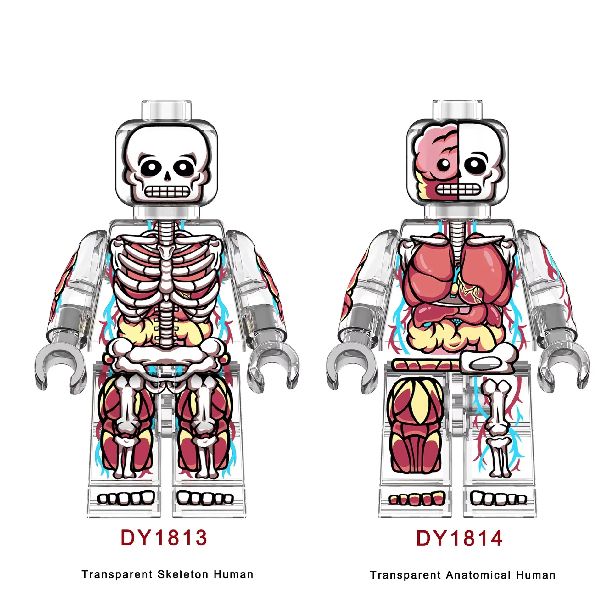 DY1813-1814 Large Body Transparent Skeleton Assembly Building Block Cartoon Funny Birthday Party Gift Home Party Decoration Mode
DY1813-1814 Large Body Transparent Skeleton Assembly Building Block Cartoon Funny Birthday Party Gift Home Party Decoration Mode