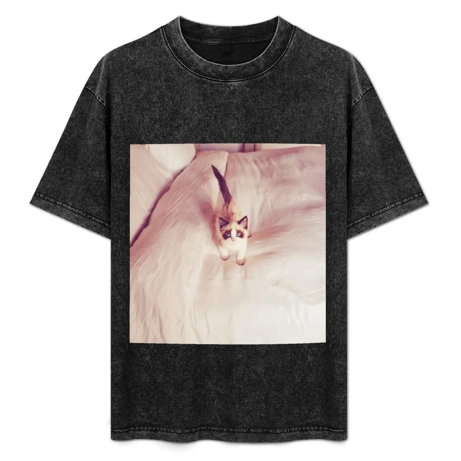 Benjamin Button Cat T-Shirt Plus Size Non-Shrink T-Shirt
Benjamin Button Cat T-Shirt Plus Size Non-Shrink T-Shirt