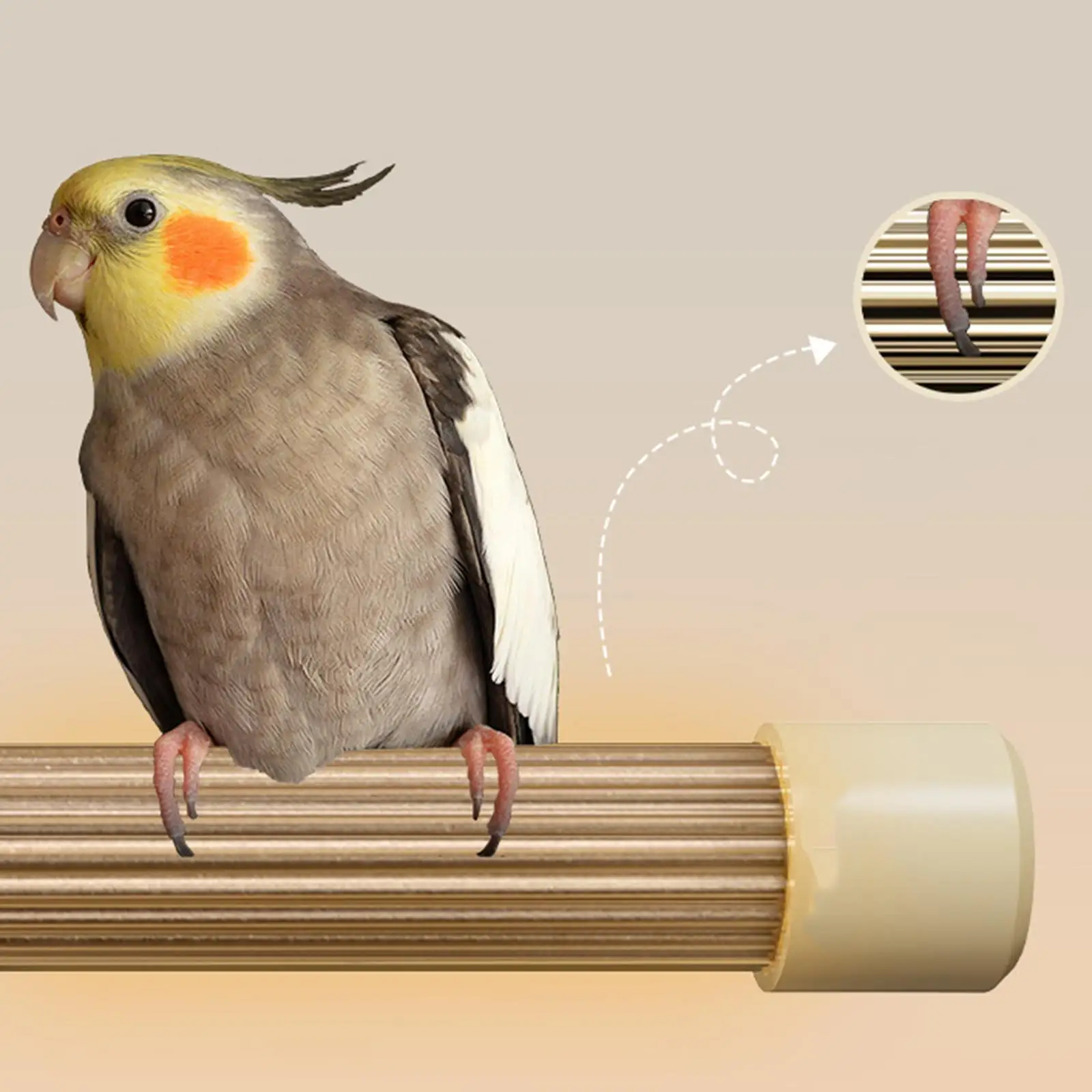 Bird Cage Heater USB Warm Pad with Perch Even Heat Diffusion Accessories for Cockatiels Parakeets Winter Use
Bird Cage Heater USB Warm Pad with Perch Even Heat Diffusion Accessories for Cockatiels Parakeets Winter Use