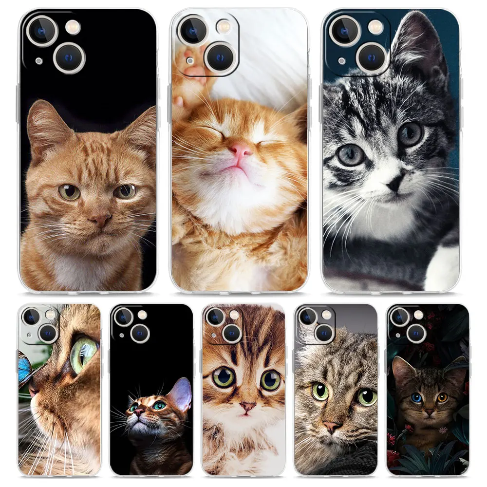 Luxury Phone Case For iPhone 15 14 13 12 11 Pro Max XS X XR 7 8 Plus Soft Clear Shockproof Cover Cartoon Cute Cats Background 
Luxury Phone Case For iPhone 15 14 13 12 11 Pro Max XS X XR 7 8 Plus Soft Clear Shockproof Cover Cartoon Cute Cats Background