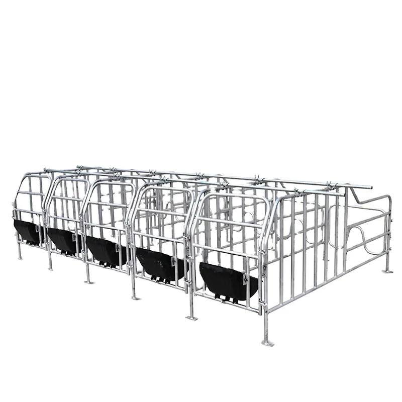 Hot Galvanized Steel Pipe Gestation Pen for 10 Sows Animal Cages Without Slatted Floor 8+ Year Service Life
Hot Galvanized Steel Pipe Gestation Pen for 10 Sows Animal Cages Without Slatted Floor 8+ Year Service Life