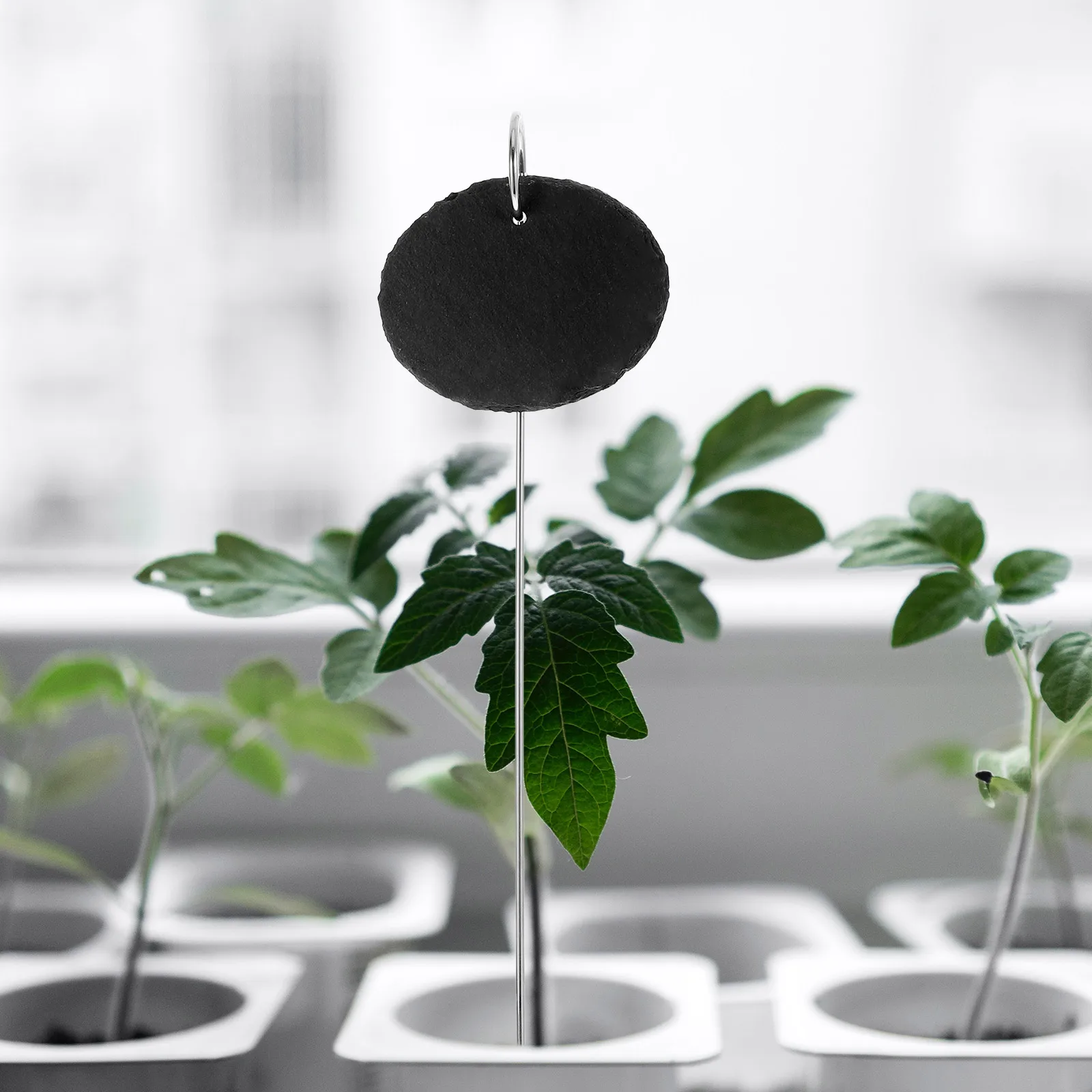 5pcs Plant Labels Stainless Steel Garden Markers Waterproof Tree Tags for Outdoor Use Easy Plant Identification
5pcs Plant Labels Stainless Steel Garden Markers Waterproof Tree Tags for Outdoor Use Easy Plant Identification