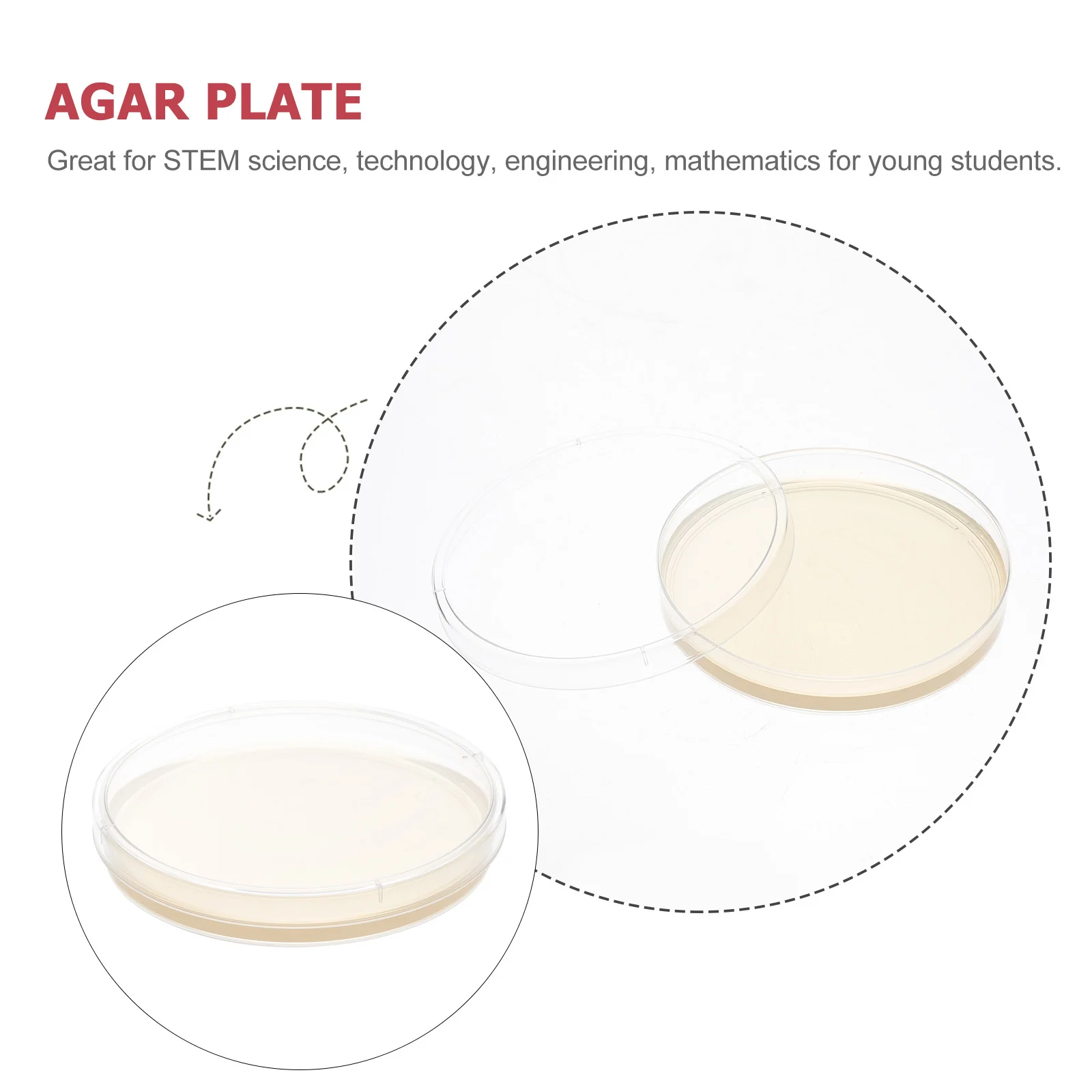 Nutrient Agar Plate Plates Prepoured Lab Petri Dishes Kit Cell Culture with Science Filled
Nutrient Agar Plate Plates Prepoured Lab Petri Dishes Kit Cell Culture with Science Filled