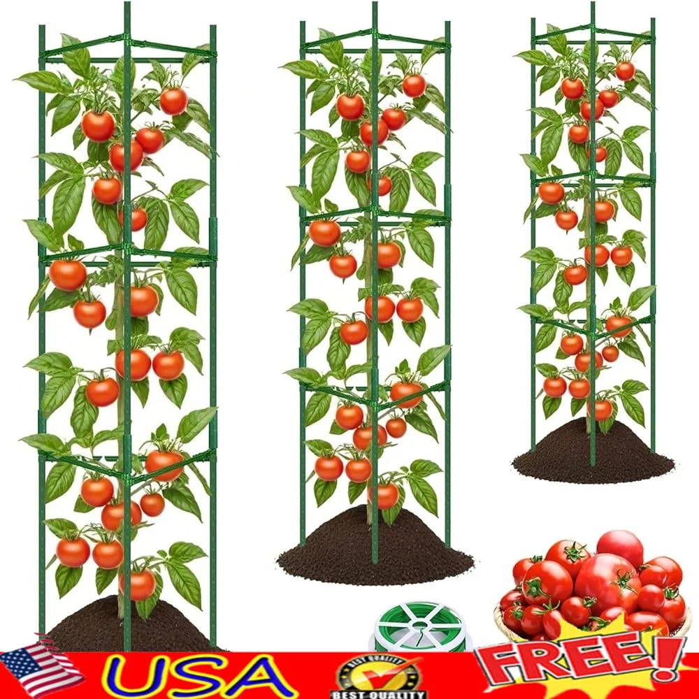 3 Pack Tomato Cages Garden Support Stakes Trellis Plant Support Vertical Climbing Durable Rustproof Metal with Twisted Ties
3 Pack Tomato Cages Garden Support Stakes Trellis Plant Support Vertical Climbing Durable Rustproof Metal with Twisted Ties
