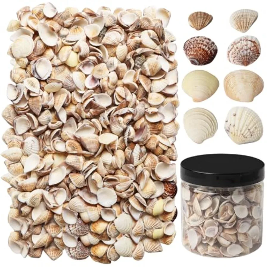 Ira Pollitt, 400 шт., маленькие морские ракушки, крошечные морские ракушки, бирюзовые ракушки для пляжной тематической вечеринки, свадьбы, украшения для дома, сделай сам
Ira Pollitt, 400 шт., маленькие морские ракушки, крошечные морские ракушки, бирюзовые ракушки для пляжной тематической вечеринки, свадьбы, украшения для дома, сделай сам