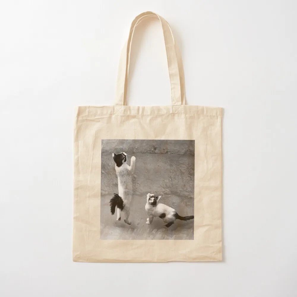 Mice On The Ledge Tote Bag Large bags for women shopper bags shopping bags foldable
Mice On The Ledge Tote Bag Large bags for women shopper bags shopping bags foldable