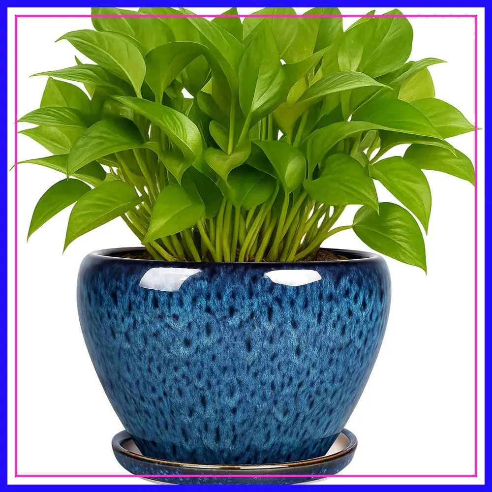 6 Inch Ceramic Plant Pot with Drainage Hole and Saucer, Blue Glaze Planter for Indoor Outdoor Succulent, Snake Plant, Cactus
6 Inch Ceramic Plant Pot with Drainage Hole and Saucer, Blue Glaze Planter for Indoor Outdoor Succulent, Snake Plant, Cactus