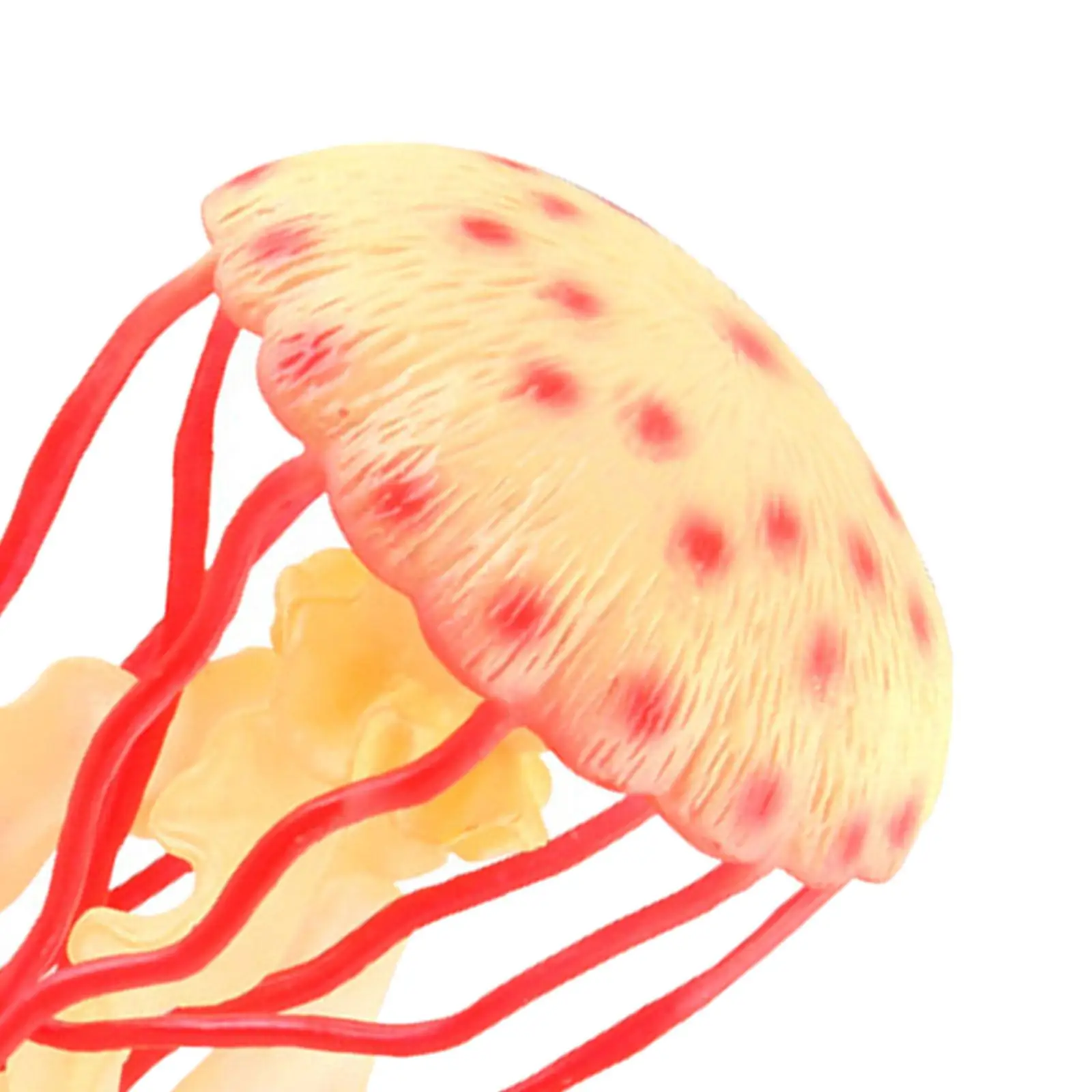 Simulated Jellyfish Action Figure PVC Educational Toy for Kids Early Childhood Cognitive Development and Creativity
Simulated Jellyfish Action Figure PVC Educational Toy for Kids Early Childhood Cognitive Development and Creativity