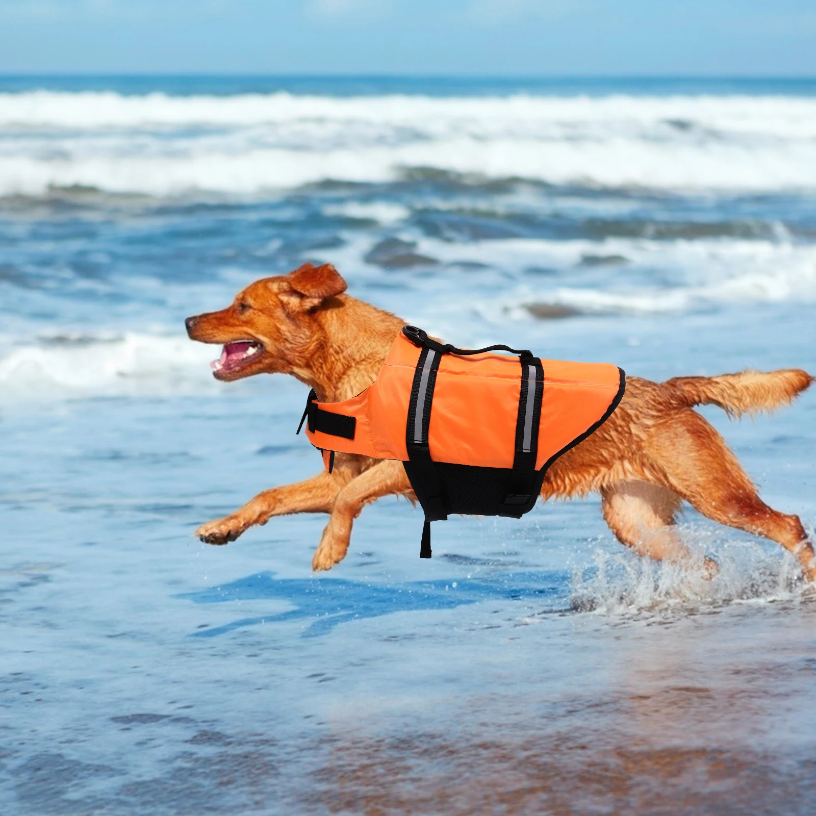 Pet Life Vest Oxford Cloth Small Dog Puppy Floating Supplies Reflective Strips Quick Release Buckles Double Lock Design
Pet Life Vest Oxford Cloth Small Dog Puppy Floating Supplies Reflective Strips Quick Release Buckles Double Lock Design