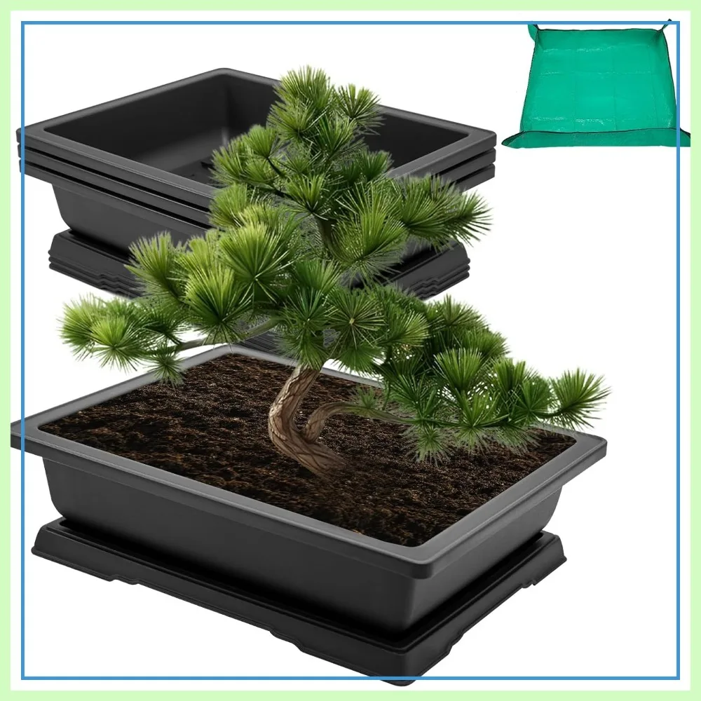 3-Pack 18" Bonsai Training Pots with Trays & Mat, Large Starter Kit for Indoor Outdoor Plants
3-Pack 18" Bonsai Training Pots with Trays & Mat, Large Starter Kit for Indoor Outdoor Plants
