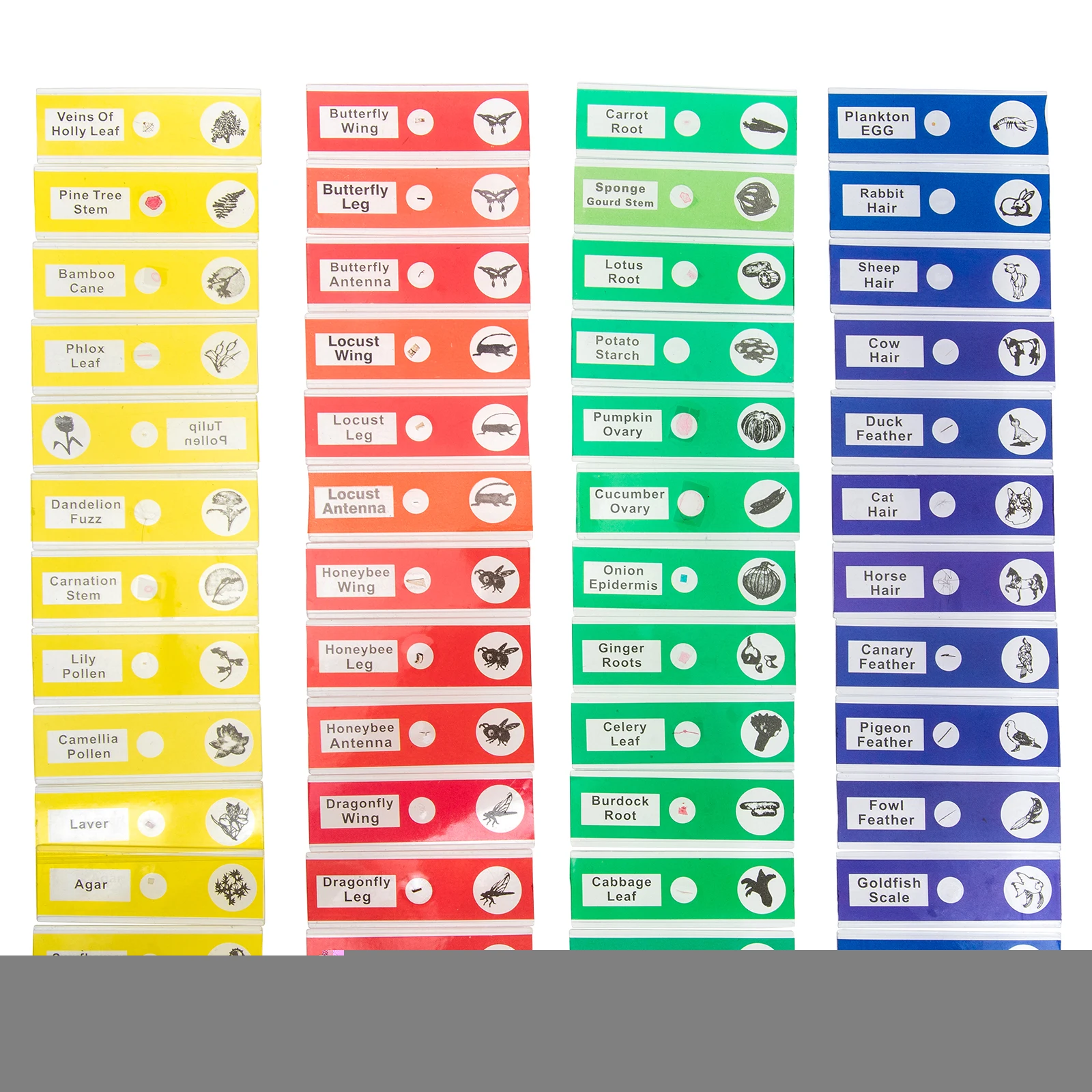 48 Pcs Microscope Slides Sample Collection Kit Kids English Tags Abs Plastic Specimen Biological Observing Learning Fun
48 Pcs Microscope Slides Sample Collection Kit Kids English Tags Abs Plastic Specimen Biological Observing Learning Fun
