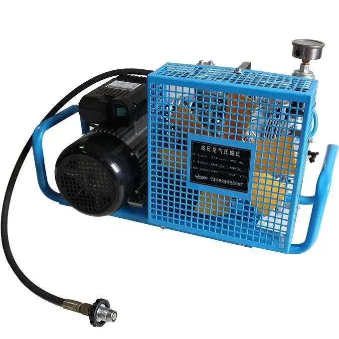 300 bar 100L air Compressor Mini Diving Equipment High Pressure air Pump Compressor
300 bar 100L air Compressor Mini Diving Equipment High Pressure air Pump Compressor