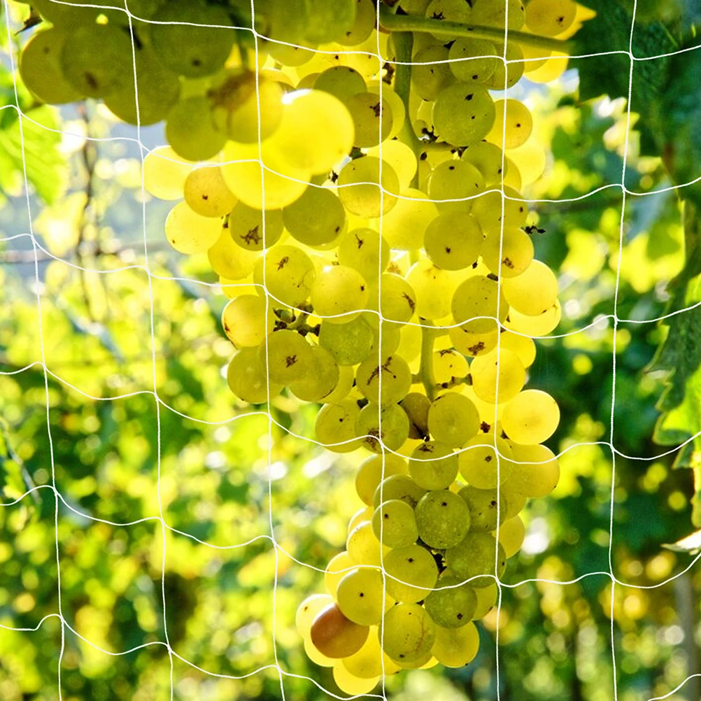 2pcs Climbing Trellis Net Plant Support Vine Netting White Polyester Grid Outdoor Gardening Pressing Net Adjustable Size
2pcs Climbing Trellis Net Plant Support Vine Netting White Polyester Grid Outdoor Gardening Pressing Net Adjustable Size