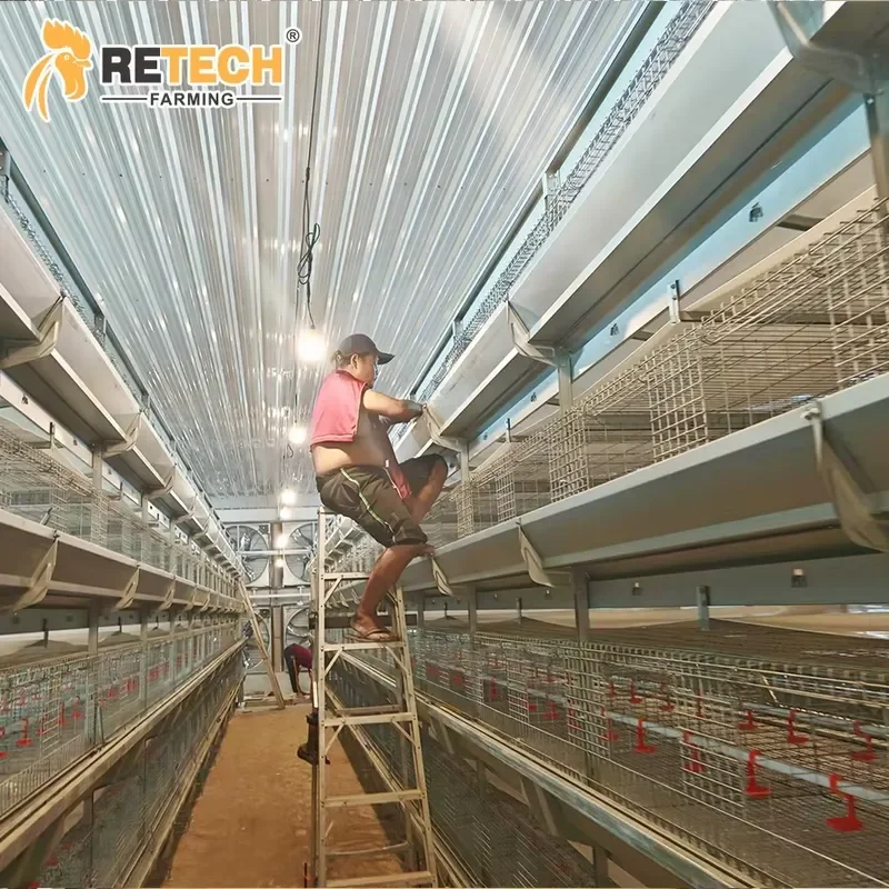 3/4 Tiers Layer Breeding Pullet Chicken Cage Equipment with Feeding and Drinking System for Poultry Farm
3/4 Tiers Layer Breeding Pullet Chicken Cage Equipment with Feeding and Drinking System for Poultry Farm