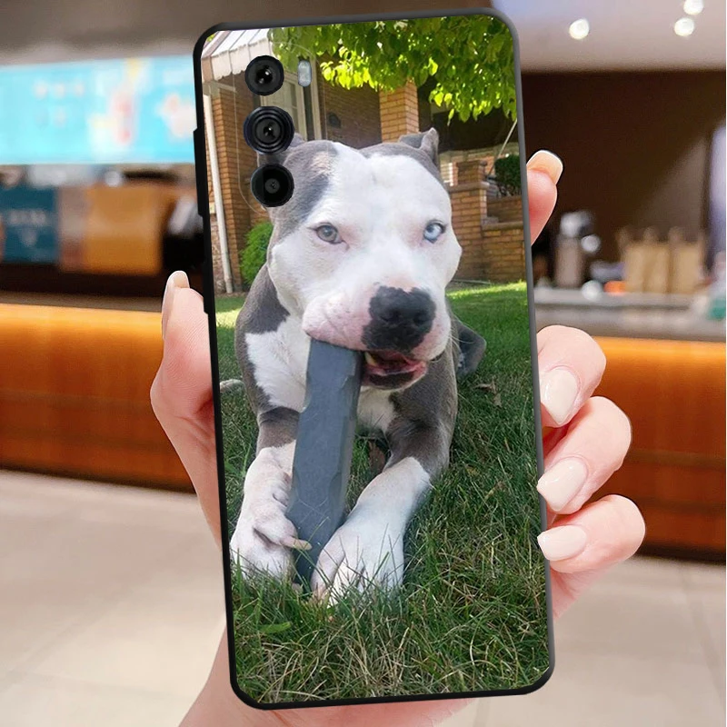 Phone Case For Motorola Edge 50 40 Pro 60 50 40 30 Ultra Neo Fusion Moto G Play G Stylus G Power G Pitbull Terrier Dog
Phone Case For Motorola Edge 50 40 Pro 60 50 40 30 Ultra Neo Fusion Moto G Play G Stylus G Power G Pitbull Terrier Dog