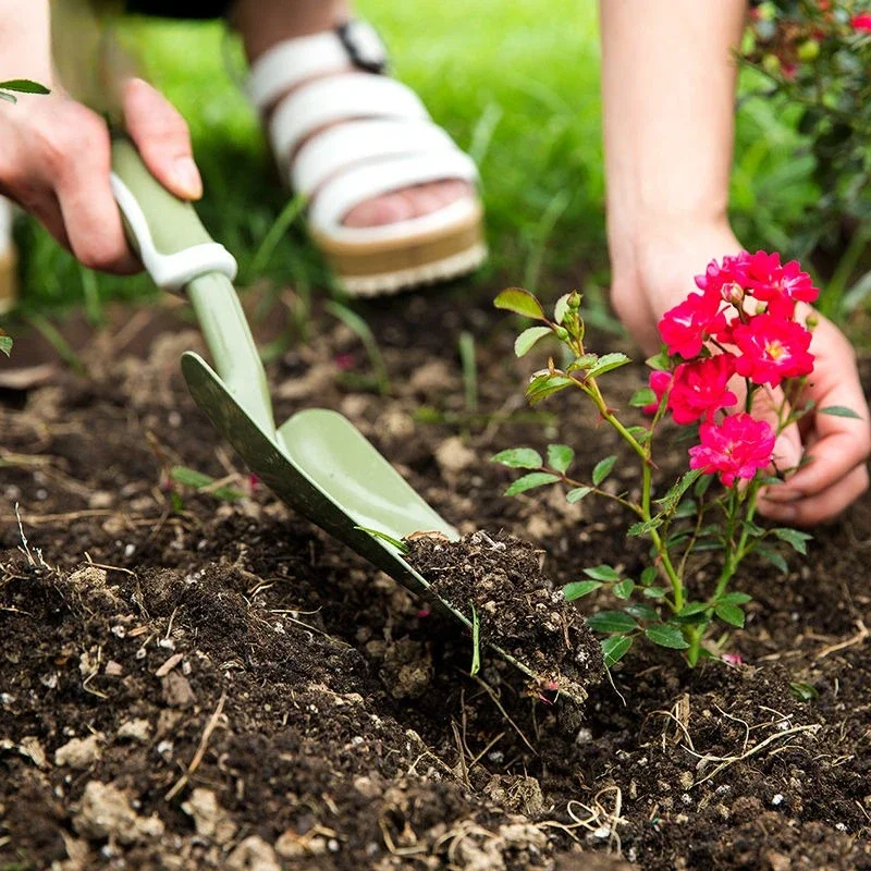 Durable Small Shovel Claws Hoe Planting Flowers and Vegetables Digging Soil Loosening Shovel Set Tools
Durable Small Shovel Claws Hoe Planting Flowers and Vegetables Digging Soil Loosening Shovel Set Tools