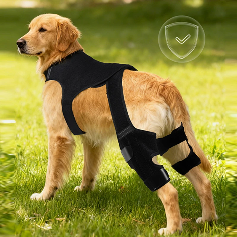 Dog Hind Leg Brace Support Reflective Dog Knee Adjustable Protector With Straps Anti-Lick Pet Joint Support For Stability Recove
Dog Hind Leg Brace Support Reflective Dog Knee Adjustable Protector With Straps Anti-Lick Pet Joint Support For Stability Recove
