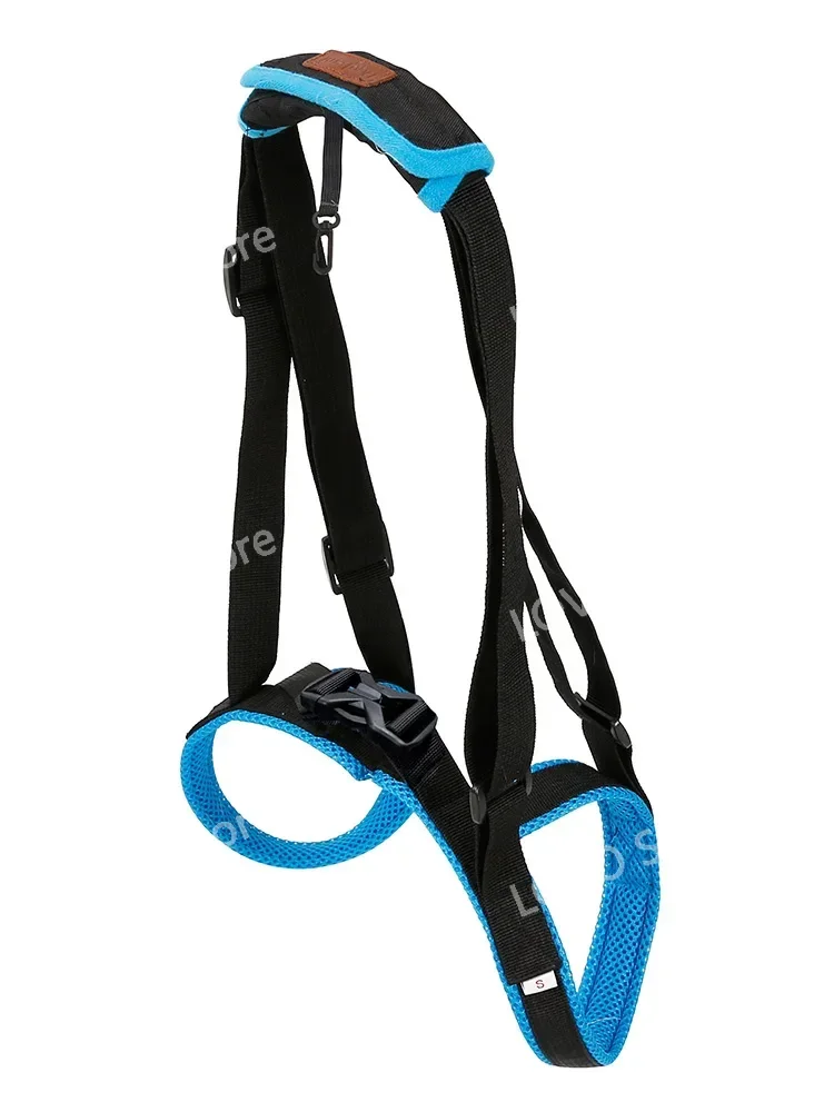 Pet dog's hind leg rehabilitation auxiliary belt with weakness, disability and injury old age strap
Pet dog's hind leg rehabilitation auxiliary belt with weakness, disability and injury old age strap