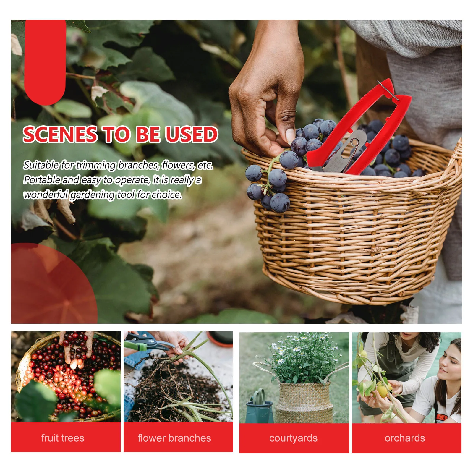 Fruit Picking Scissors Prune Shear Stainless Steel Hand Pruners Double Mouth Garden Tools Lightweight Non Slip Handle Gardening
Fruit Picking Scissors Prune Shear Stainless Steel Hand Pruners Double Mouth Garden Tools Lightweight Non Slip Handle Gardening