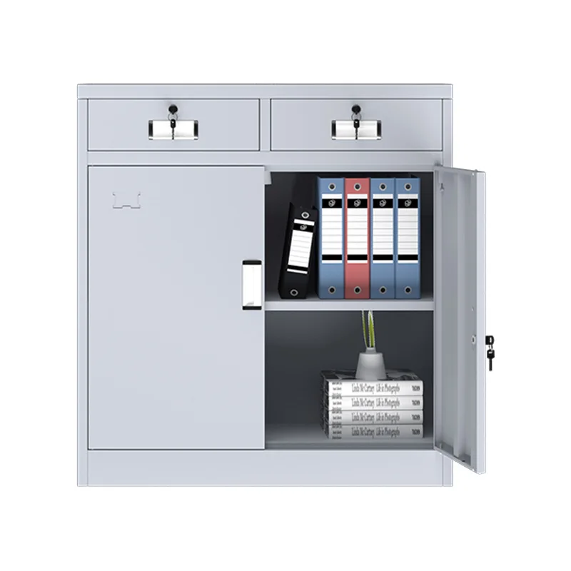 Офисный шкаф для документов с двумя выдвижными ящиками, низкий шкаф, чайный шкаф, металлический шкафчик
Офисный шкаф для документов с двумя выдвижными ящиками, низкий шкаф, чайный шкаф, металлический шкафчик