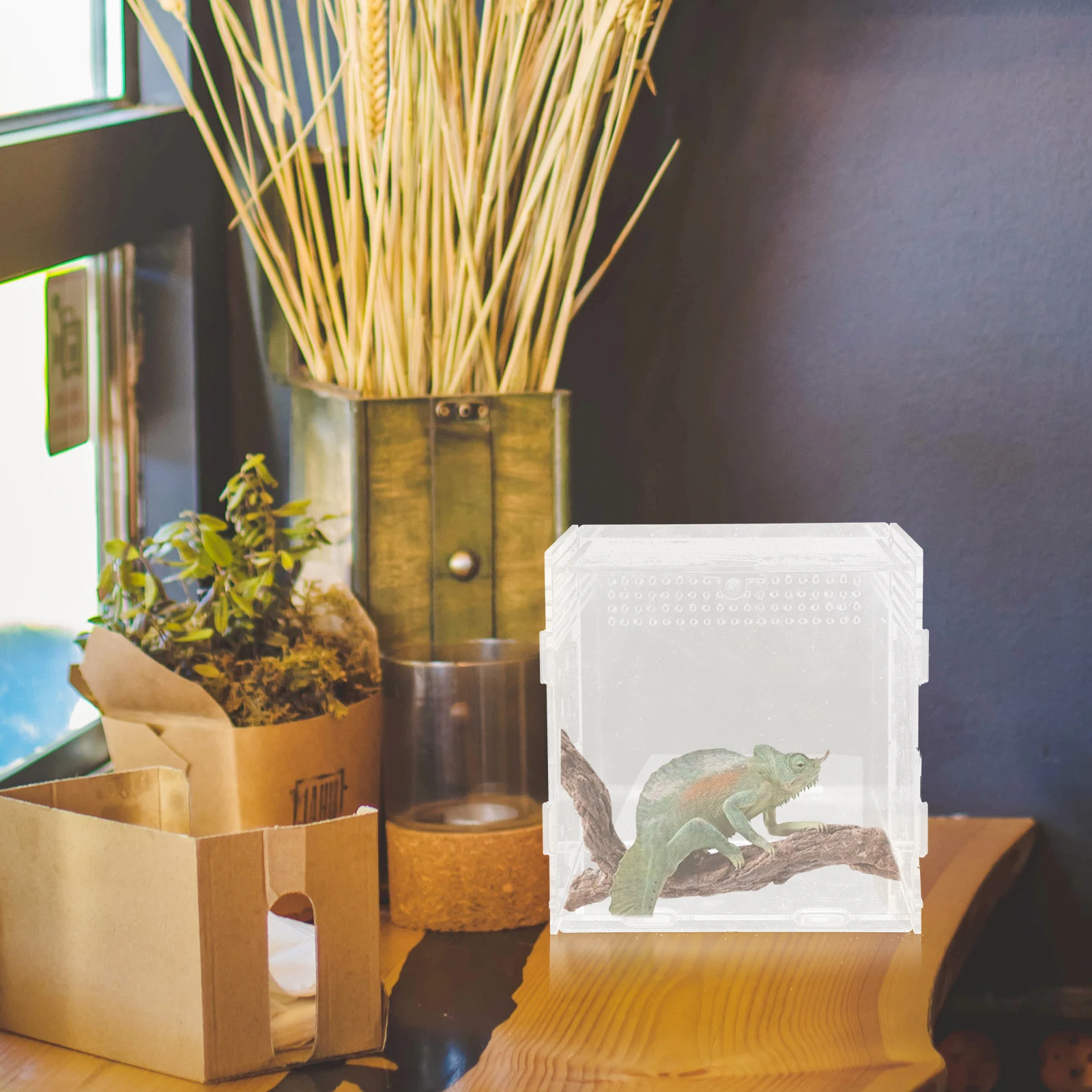Reptile Box Terrarium Climbing Pet Feeding Container Durable Transparent Breeding Case Storage Nest for Small Pets Spiders
Reptile Box Terrarium Climbing Pet Feeding Container Durable Transparent Breeding Case Storage Nest for Small Pets Spiders