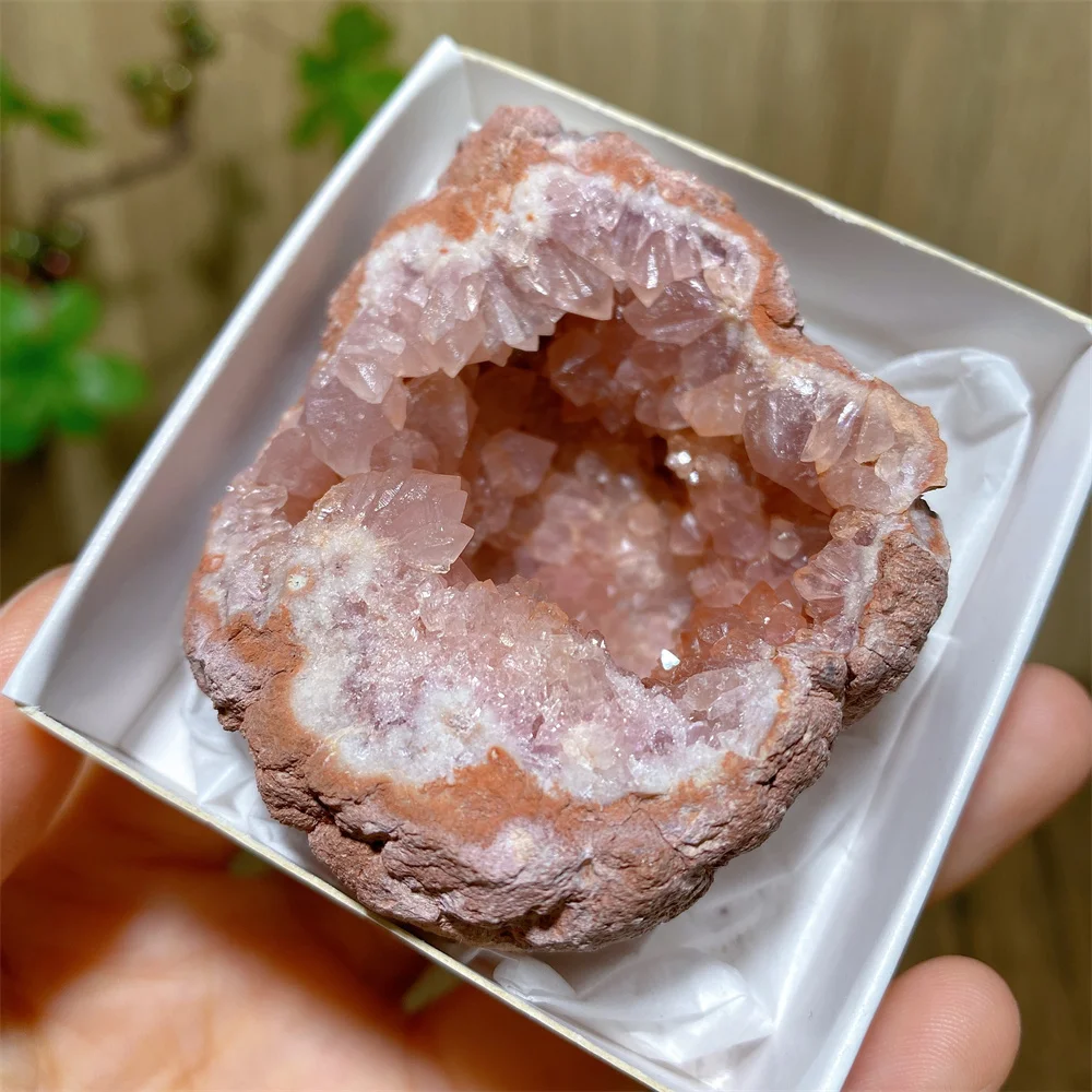 Argentina Natural Pink Amethyst Geode Raw Stone Quartz DruzyQuartz Room Decoration Amethyst Mineral Spiritual Healing Crystals
Argentina Natural Pink Amethyst Geode Raw Stone Quartz DruzyQuartz Room Decoration Amethyst Mineral Spiritual Healing Crystals