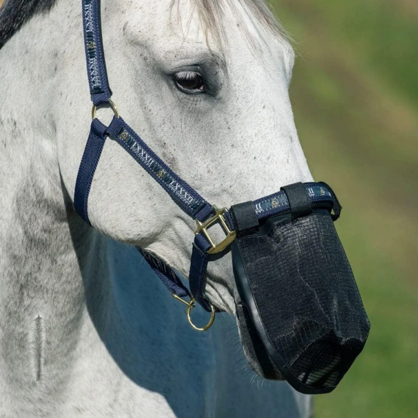 Horse Nose Net with Fine Mesh Screen Horse Nose Cover Protection Comfortable for Horses with Allergies Or Shaking
Horse Nose Net with Fine Mesh Screen Horse Nose Cover Protection Comfortable for Horses with Allergies Or Shaking