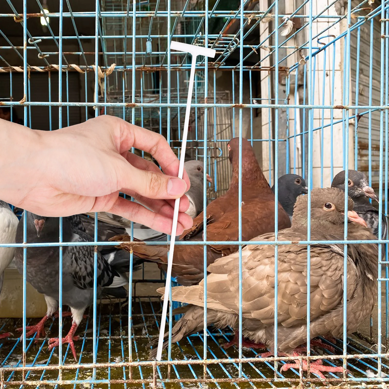10pcs Bird Door Rabbit Cage Swing Entrance Wire Trap Durable One-way System Easy Installation Pigeons Race Birds Pet
10pcs Bird Door Rabbit Cage Swing Entrance Wire Trap Durable One-way System Easy Installation Pigeons Race Birds Pet