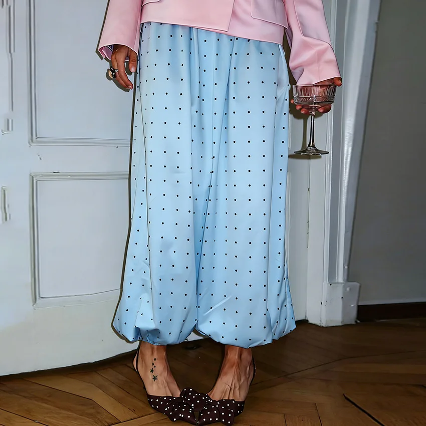 Light Blue Polka Dot Elastic Waist Loose Pants
Light Blue Polka Dot Elastic Waist Loose Pants