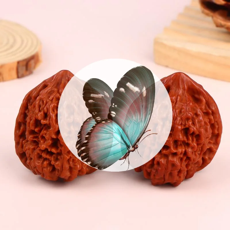 New Wenwan Walnuts Walnut King Yong Kirin Pattern Official Hat Four-Tiered Lion Head Fine Pairing High Polished Decor Gifts
New Wenwan Walnuts Walnut King Yong Kirin Pattern Official Hat Four-Tiered Lion Head Fine Pairing High Polished Decor Gifts